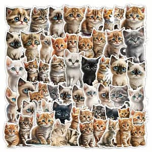 Katten Stickers – Schattige Kittens | 10 stuks per zakje